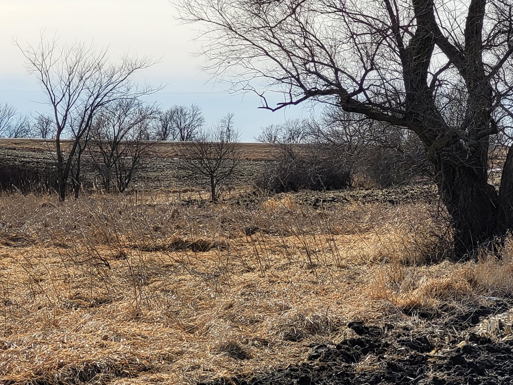 7 County Road 7 Northwest Maple Lake, MN 55358 - Photo 11 of 20