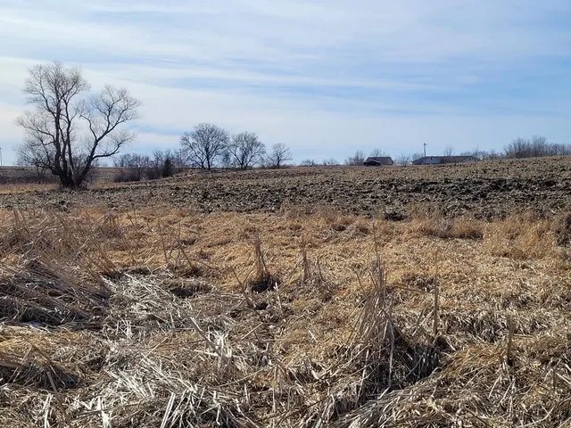 $209,000 | 7 County Road 7 Northwest, Maple Lake, MN 55358