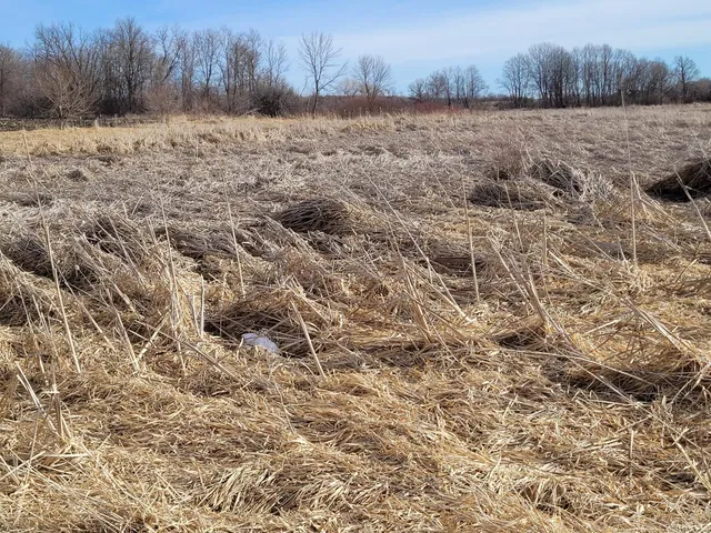 $209,000 | 7 County Road 7 Northwest, Maple Lake, MN 55358