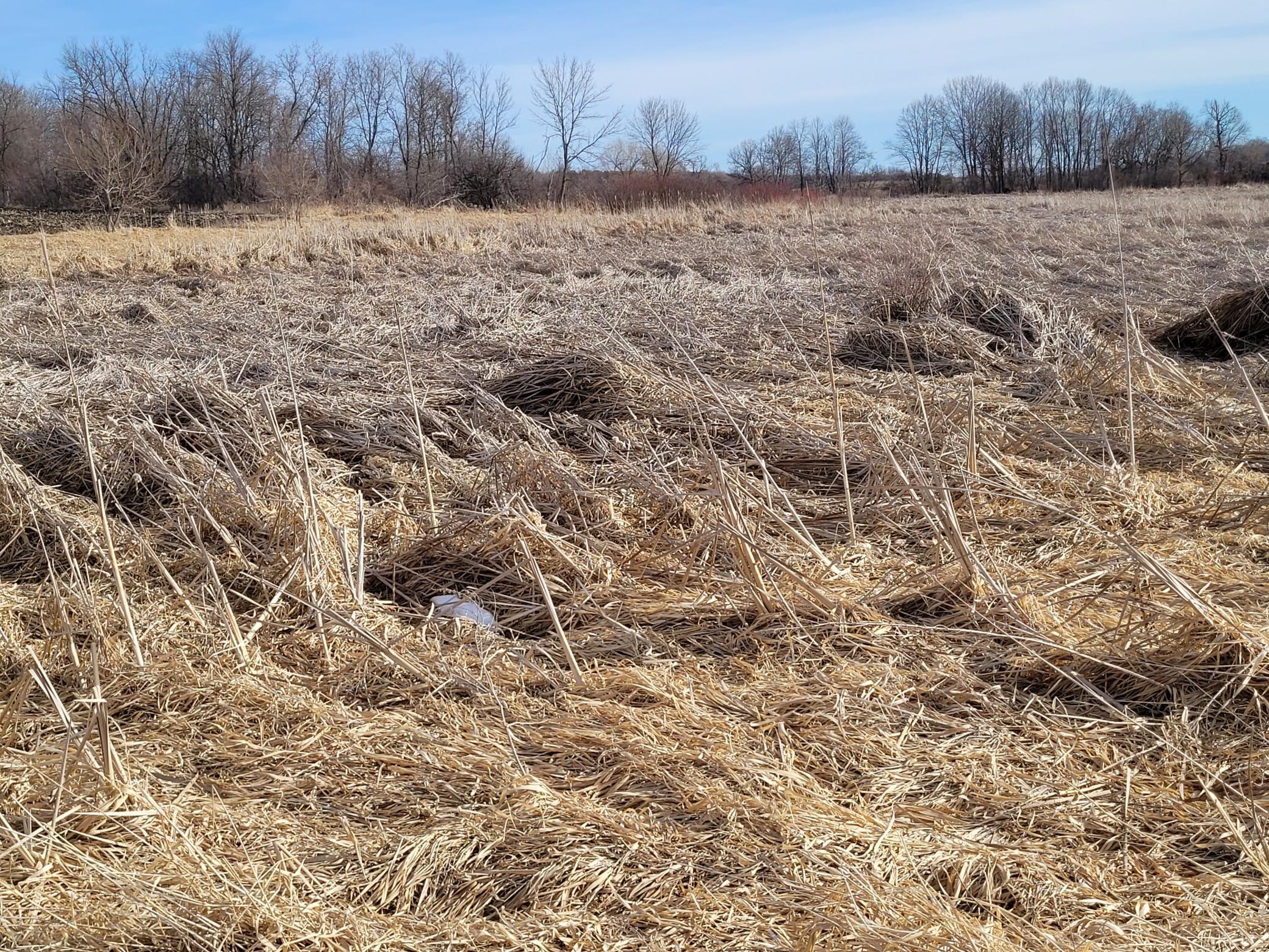 7 County Road 7 Northwest Maple Lake, MN 55358 - Photo 15 of 20