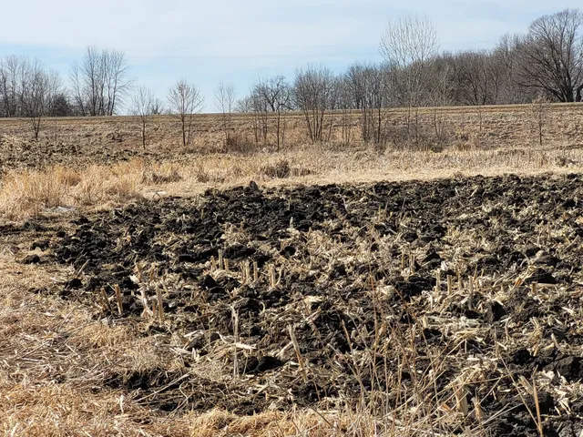 $209,000 | 7 County Road 7 Northwest, Maple Lake, MN 55358