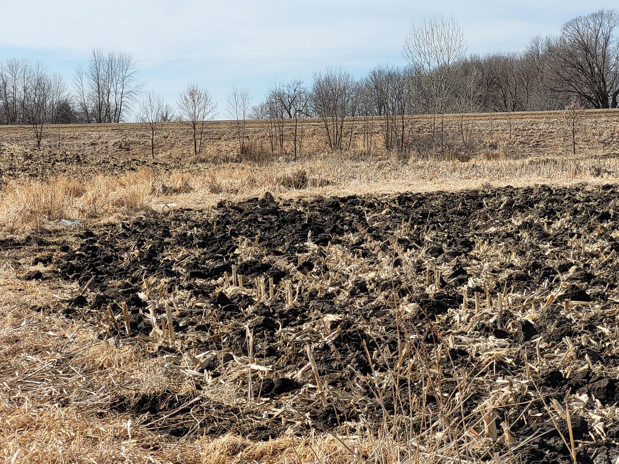 7 County Road 7 Northwest Maple Lake, MN 55358 - Photo 19 of 20