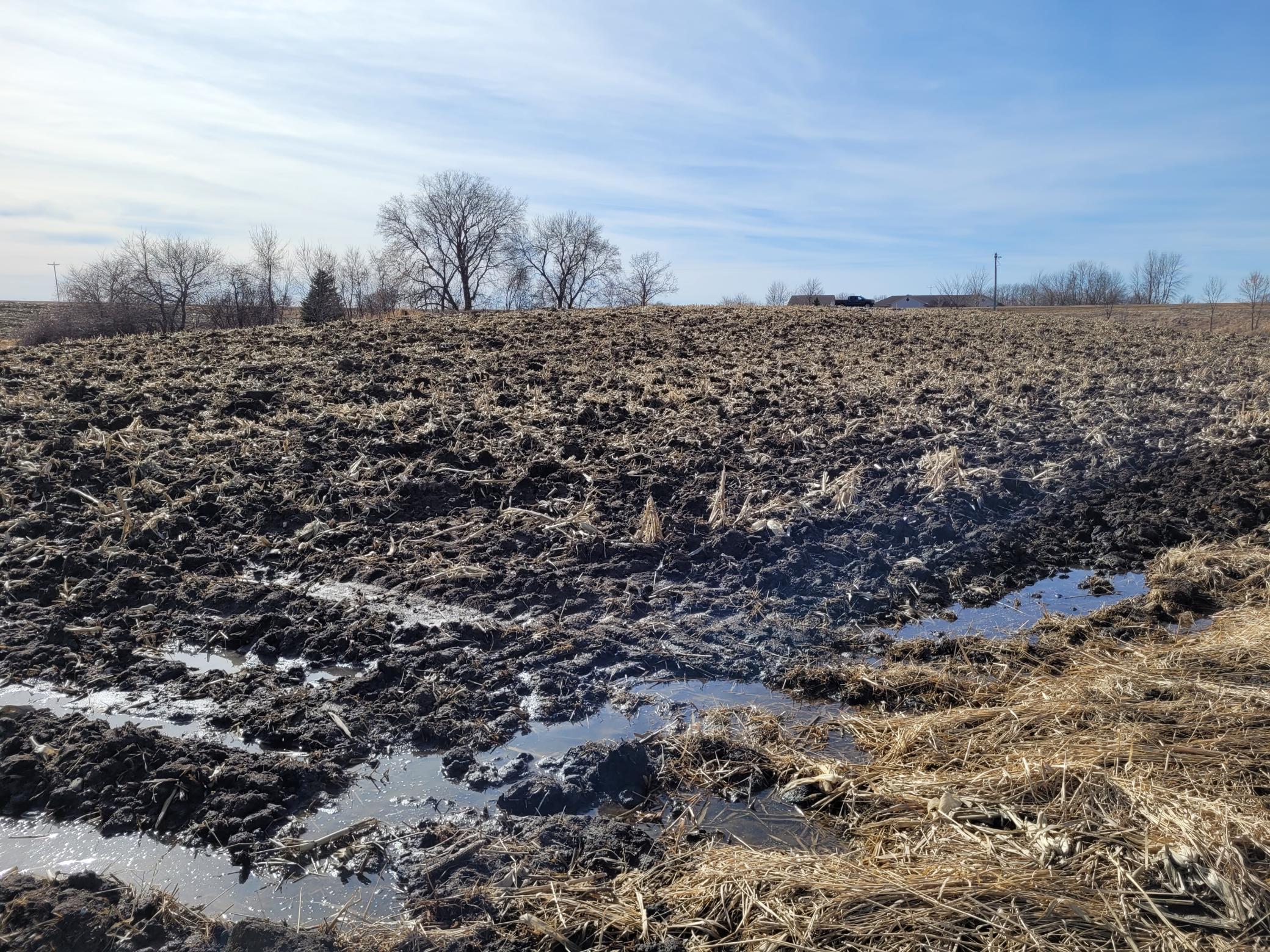 7 County Road 7 Northwest Maple Lake, MN 55358 - Photo 6 of 20