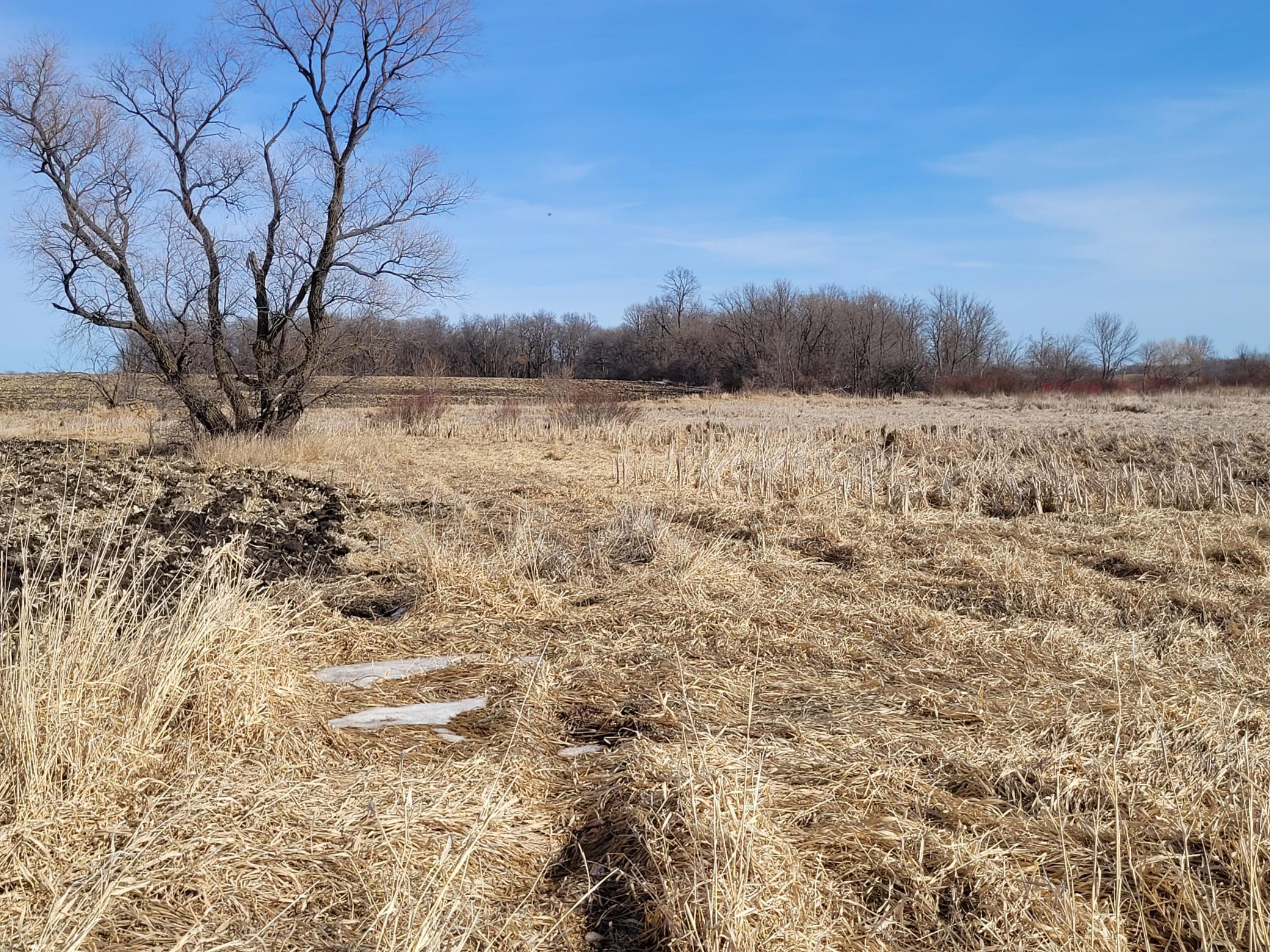 7 County Road 7 Northwest Maple Lake, MN 55358 - Photo 7 of 20