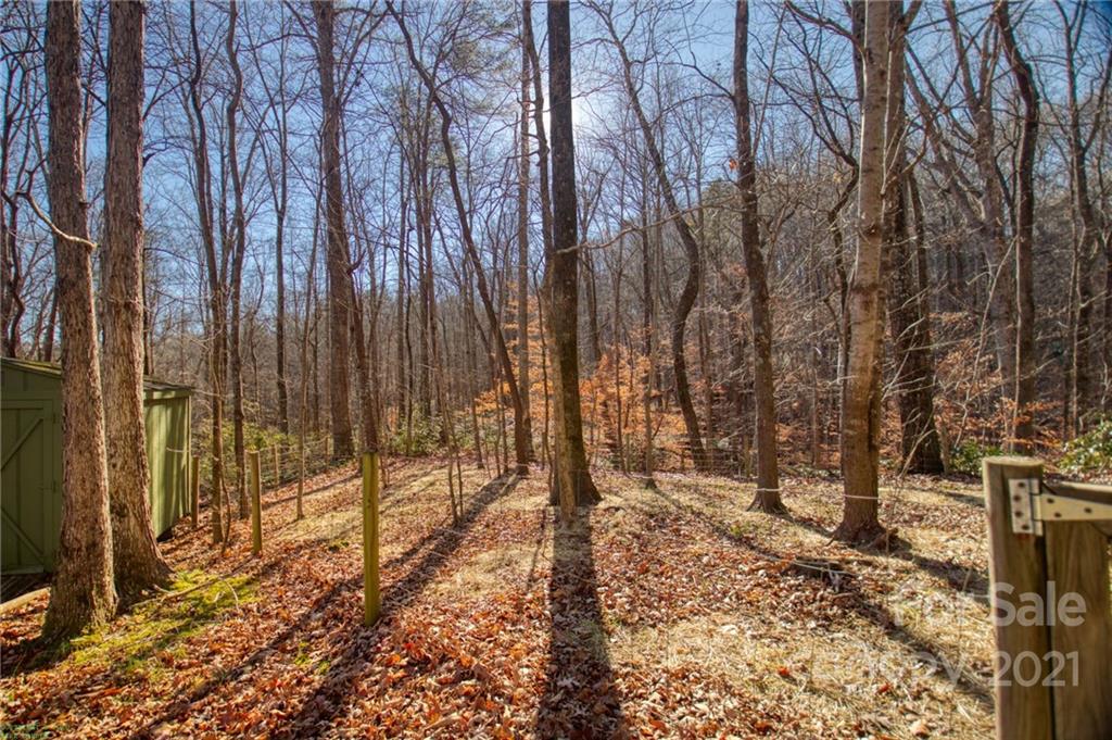 927 Skyuka Road Columbus, NC 28722 - Photo 9 of 32 Gallery Image 9