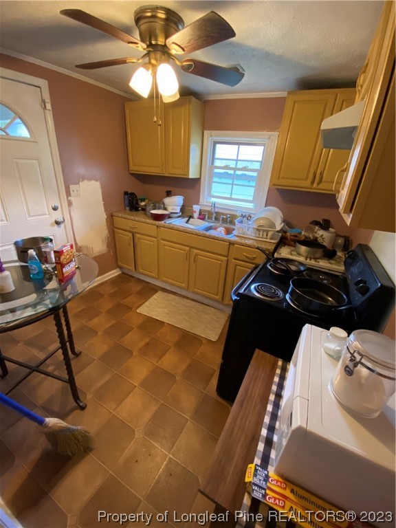 1409 Richardson Road Bladenboro, NC 28320 - Photo 5 of 14 a kitchen with a sink appliances and cabinets