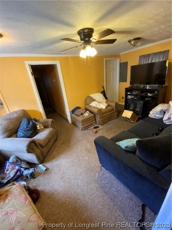 1409 Richardson Road Bladenboro, NC 28320 - Photo 8 of 14 a living room with furniture and a flat screen tv