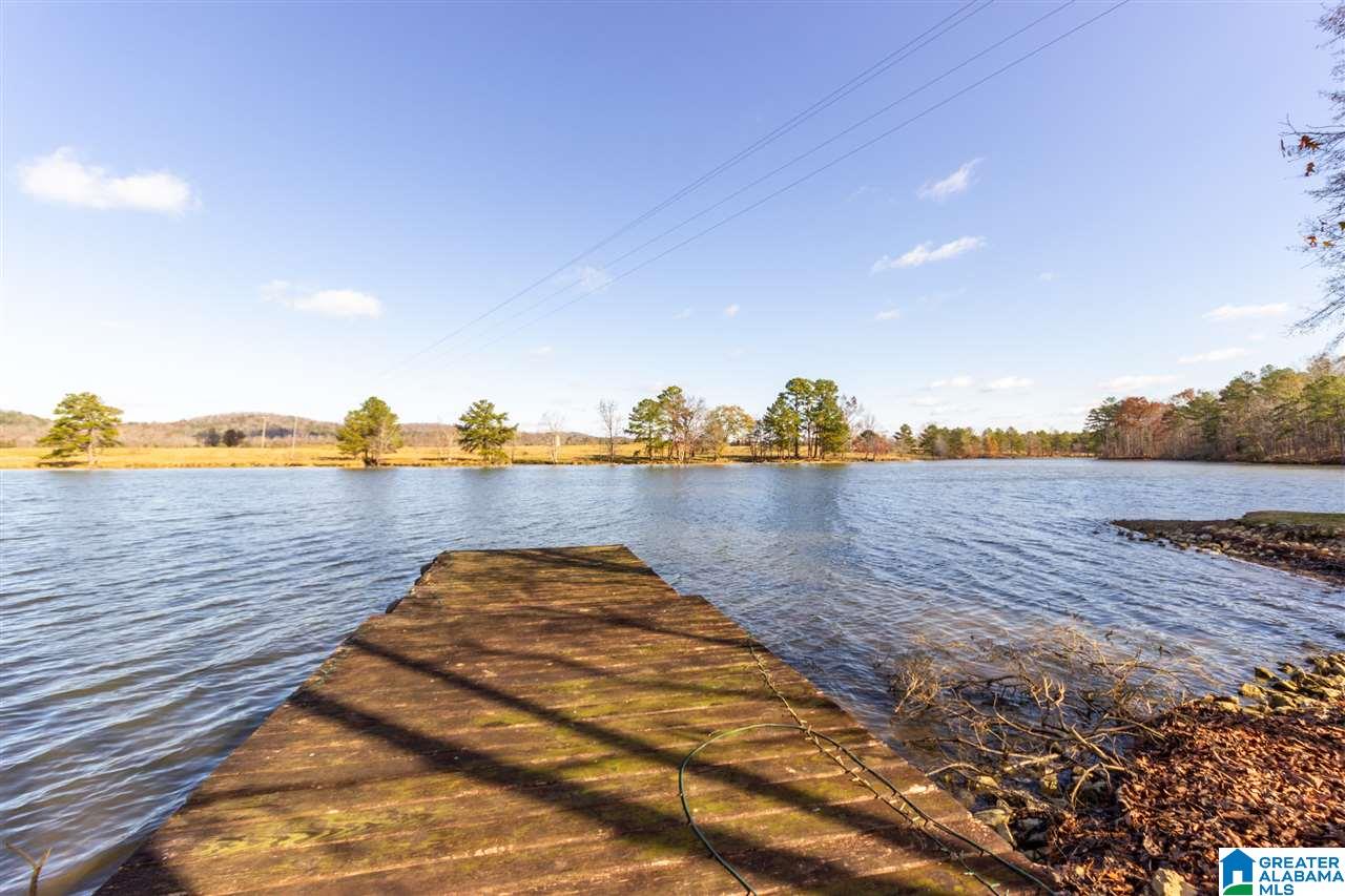 333 Riverview Lane Ohatchee, AL 36271 - Photo 38 of 50