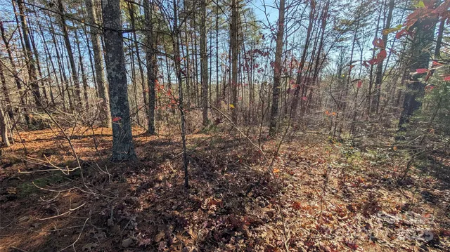 a view of a house with floor to ceiling windows and a basket ball poll