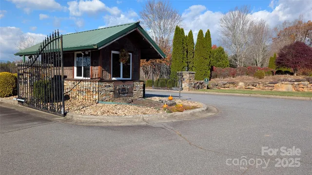 a close up of a plant