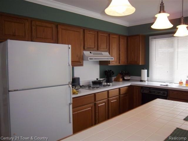 556 Cherry Tree Lane Rochester, MI 48306 - Photo 4 of 25 Kitchen Cabinetry.JPG