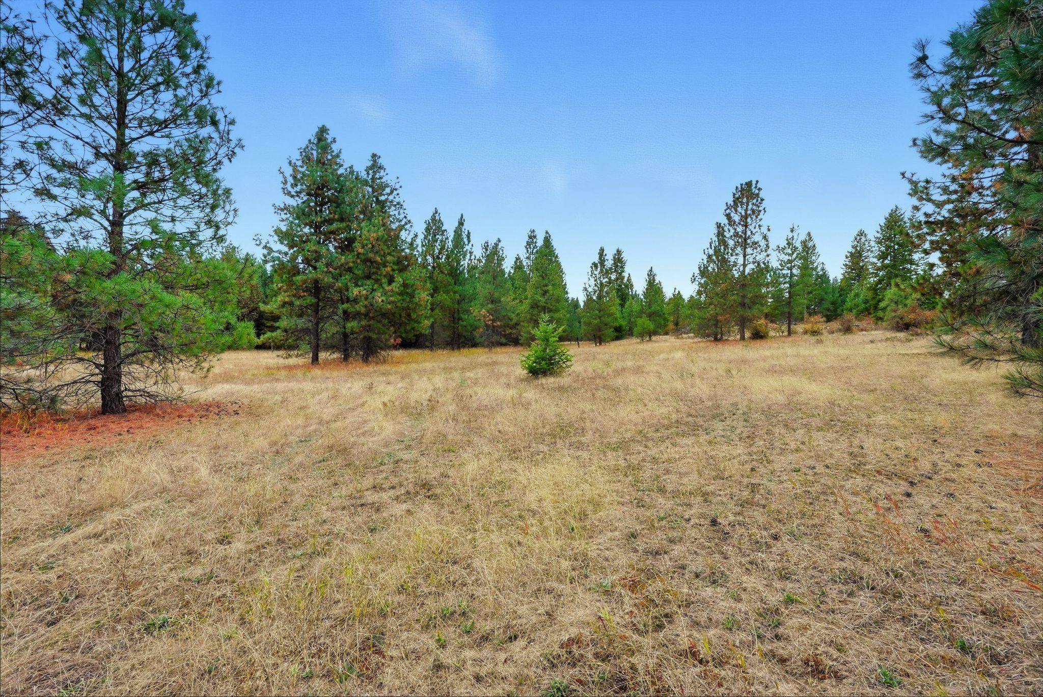 4710 B Price Road Clayton, WA 99110 - Photo 14 of 39 Gallery Image 14