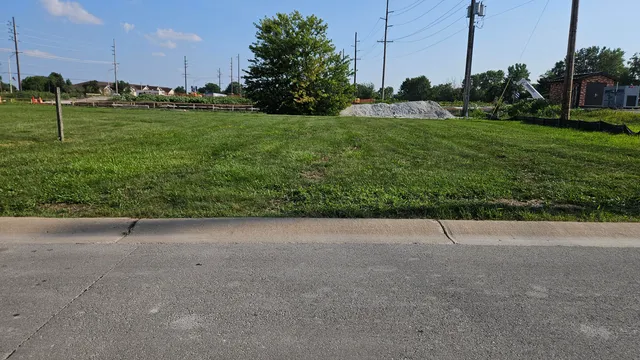 a view of a field with grass