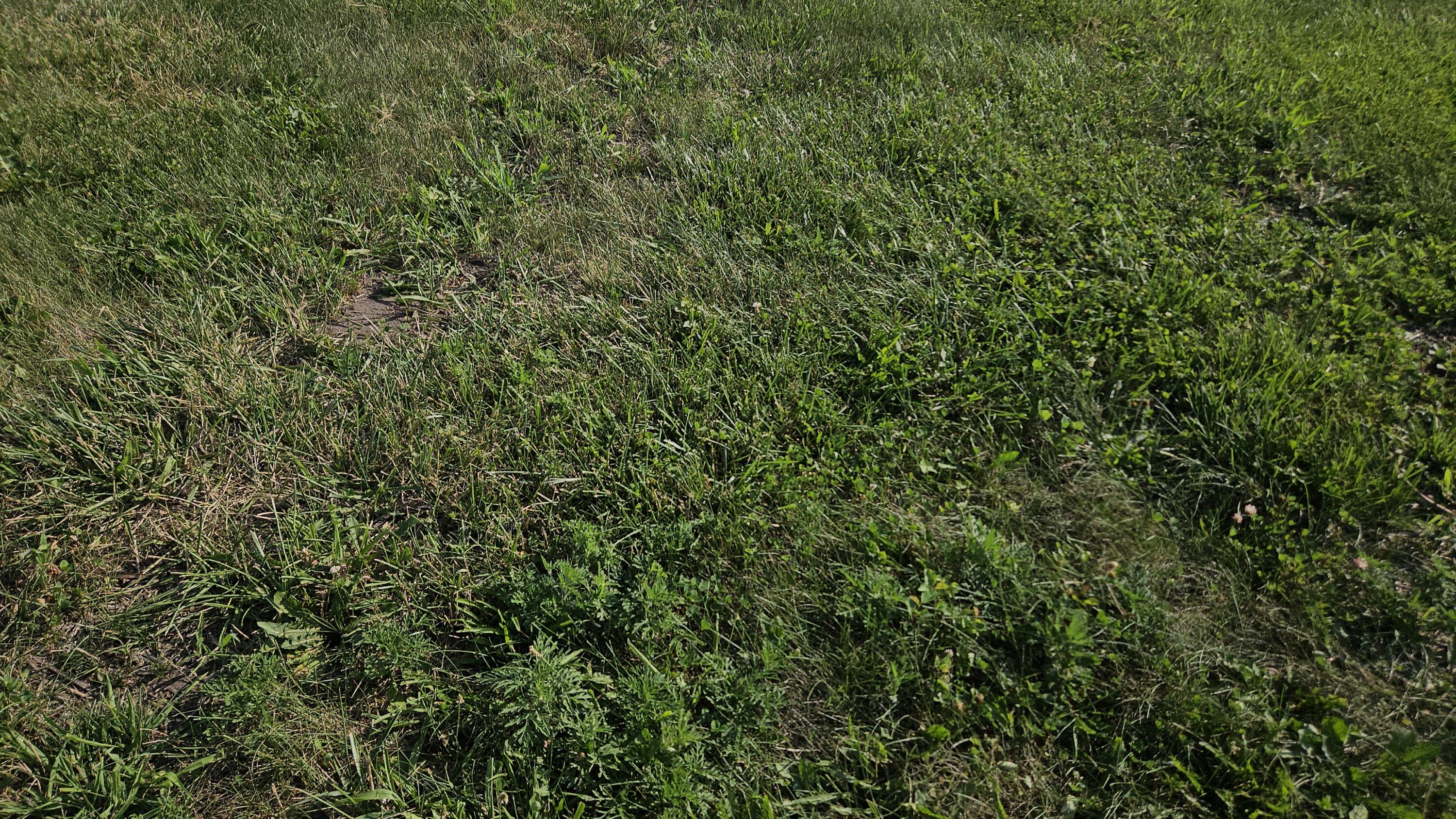 444 Megan Way Munster, IN 46321 - Photo 5 of 7