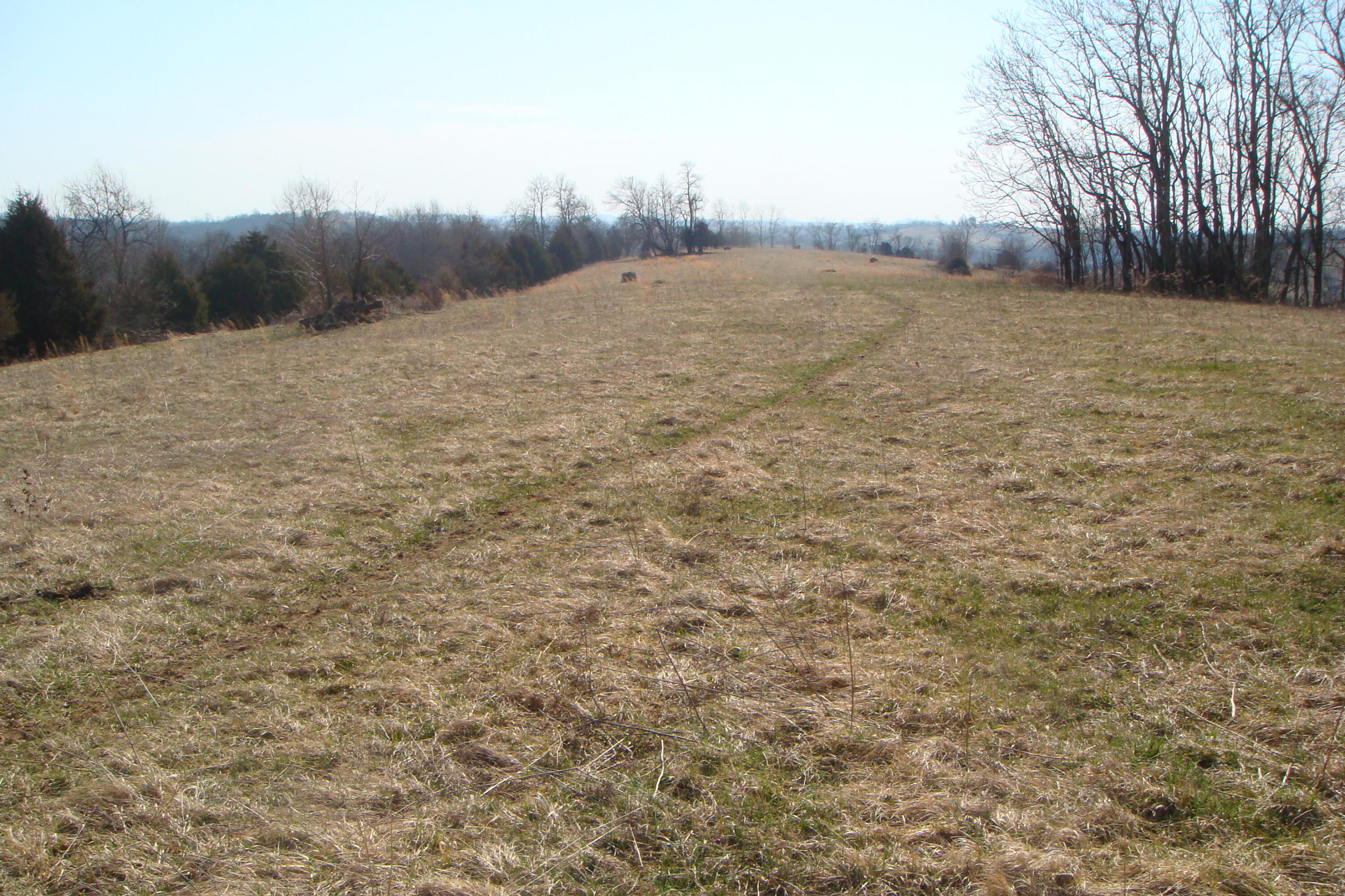 4037 Howards Mill Road Mount Sterling, KY 40353 - Photo 14 of 26 DSC07574