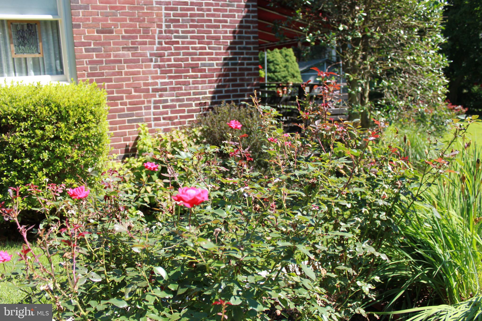 7103 Sheffield Road Baltimore, MD 21212 - Photo 32 of 37 a view of a pathway with plants and flowers