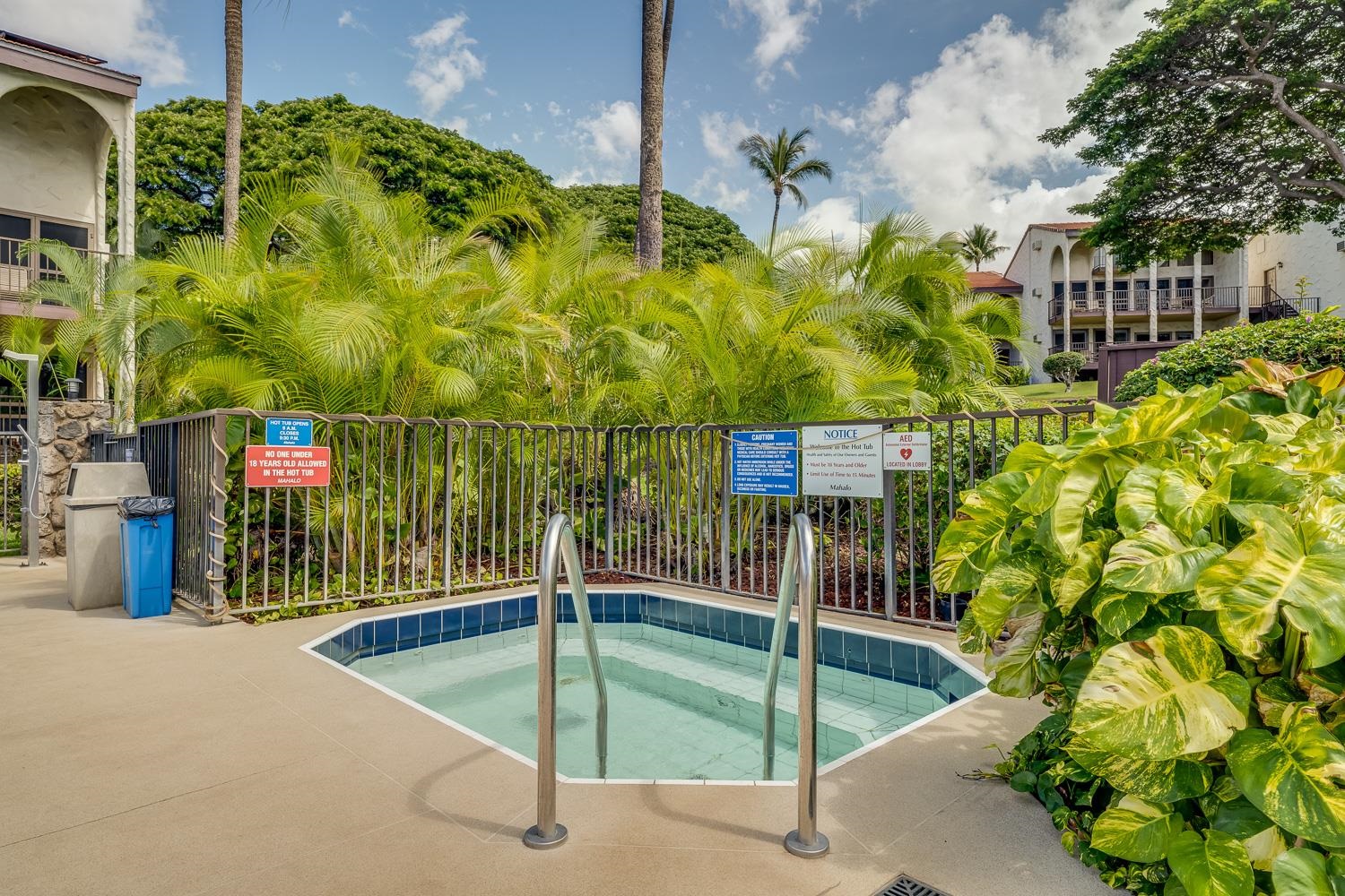 2881 South Kihei Road, Unit 8 Kihei, HI 96753 - Photo 41 of 48