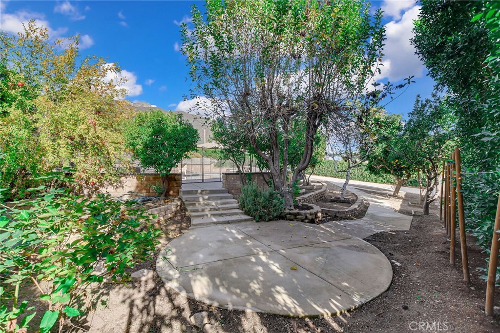 8317 La Senda Road Rancho Cucamonga, CA 91701 - Photo 66 of 75 a view of a backyard with table and chairs and a large tree