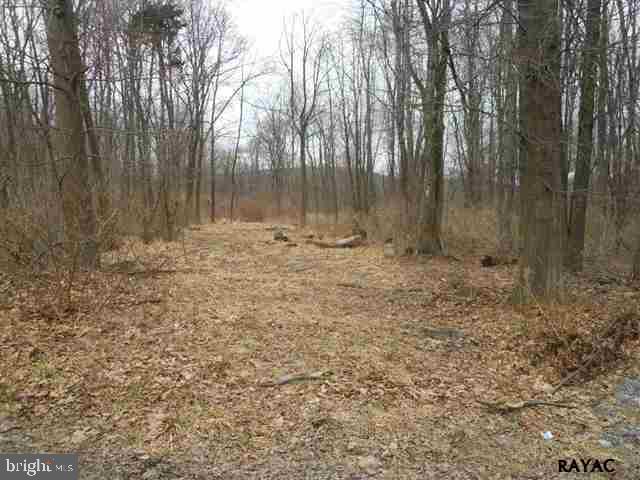 Lot 9 Robson Road Dillsburg, PA 17019 - Photo 2 of 8