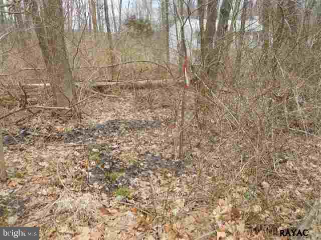 Lot 9 Robson Road Dillsburg, PA 17019 - Photo 3 of 8