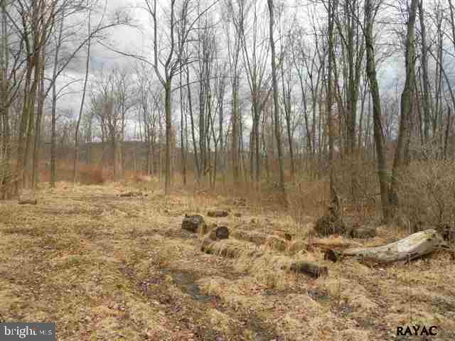 Lot 9 Robson Road Dillsburg, PA 17019 - Photo 4 of 8