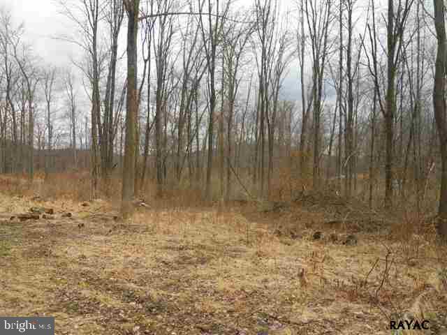 Lot 9 Robson Road Dillsburg, PA 17019 - Photo 5 of 8