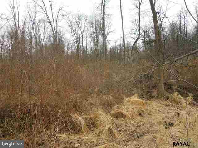 Lot 9 Robson Road Dillsburg, PA 17019 - Photo 7 of 8