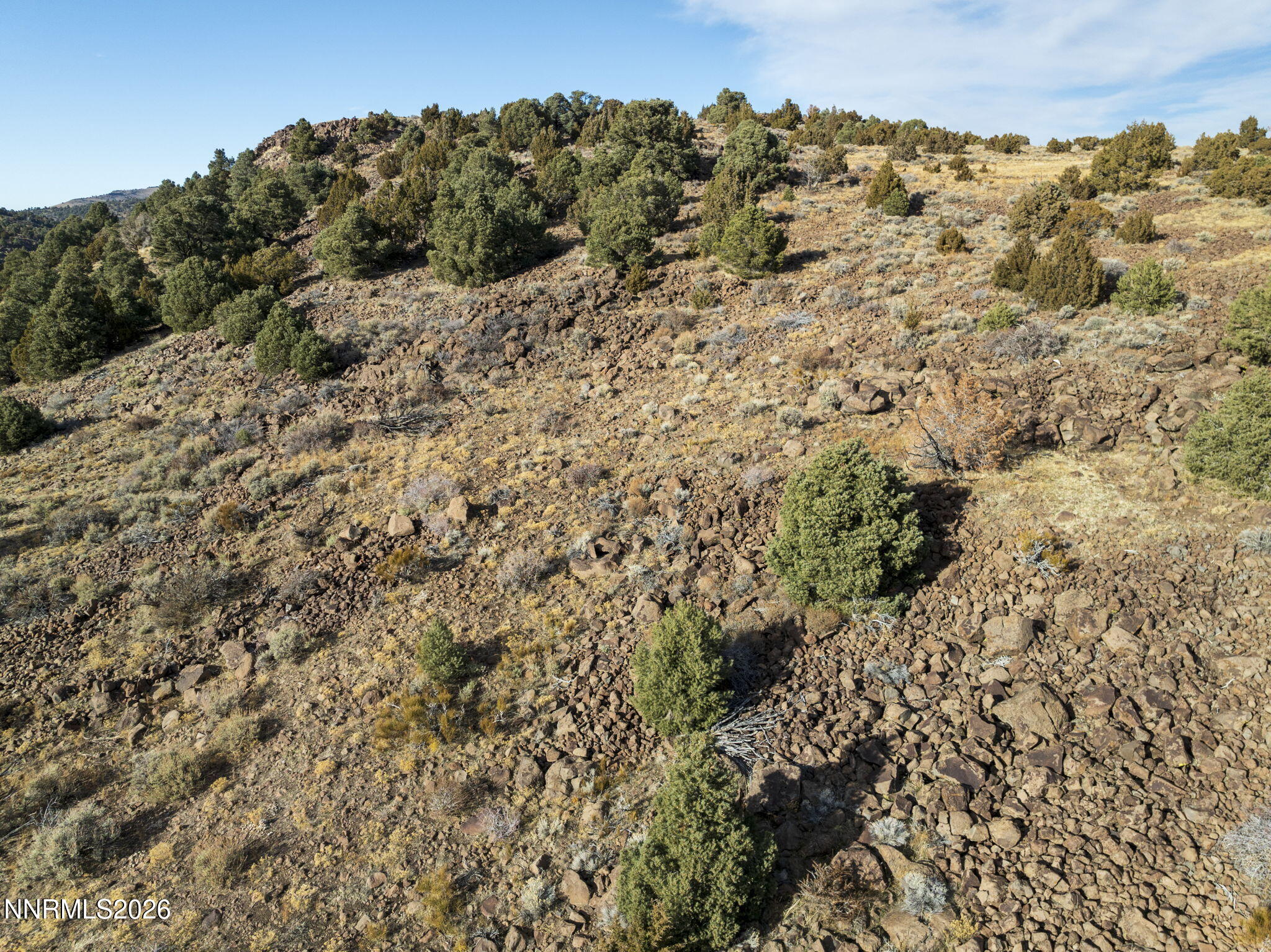 2690 Goldfield Road, Unit PARCEL IS BORDERED BY GOLDFIELD ON SOUTH AND EAST Reno, NV 89521 - Photo 29 of 30 a view of a forest with a building in the background
