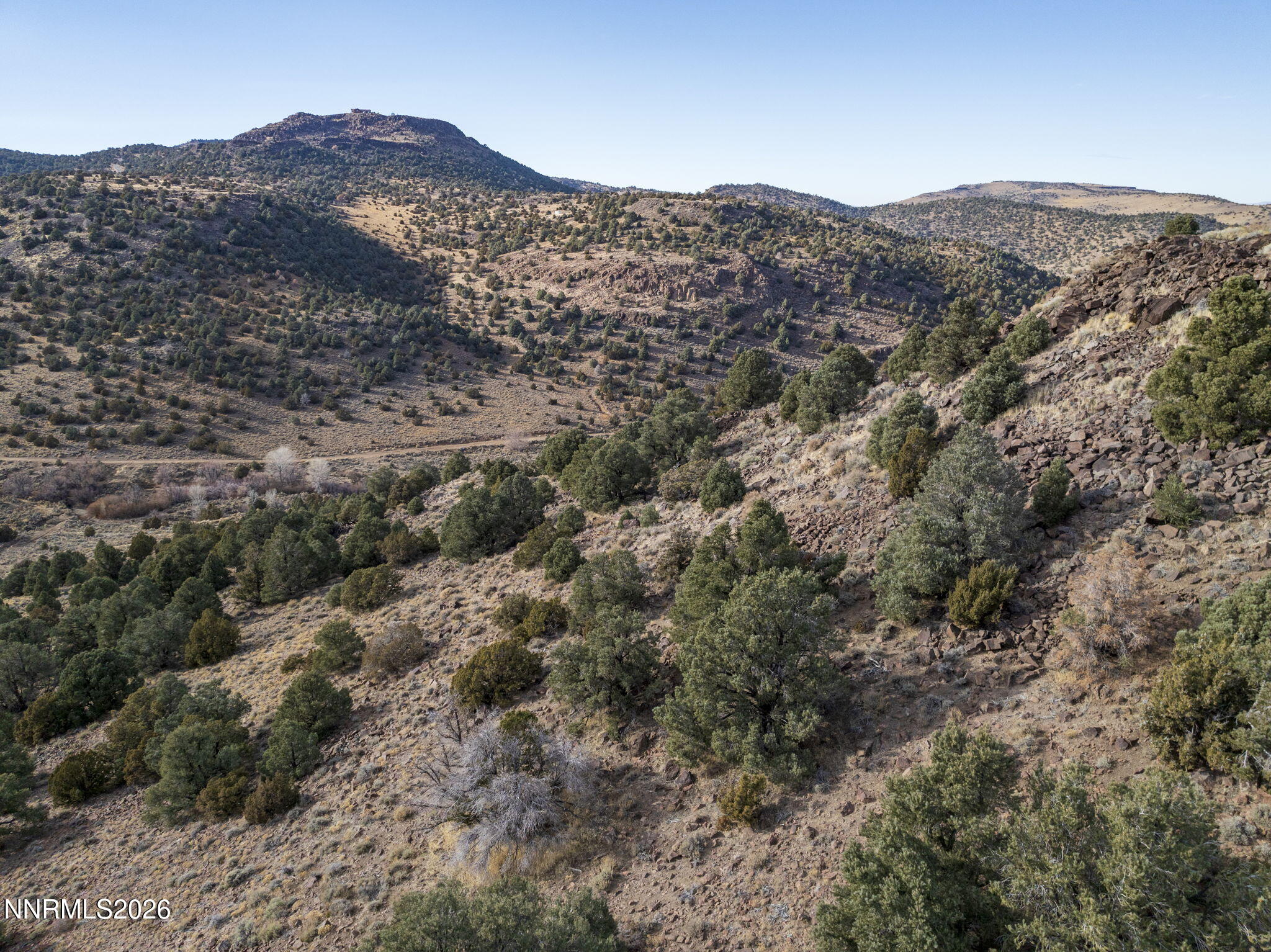 2690 Goldfield Road, Unit PARCEL IS BORDERED BY GOLDFIELD ON SOUTH AND EAST Reno, NV 89521 - Photo 6 of 30 a view of a mountain range with trees