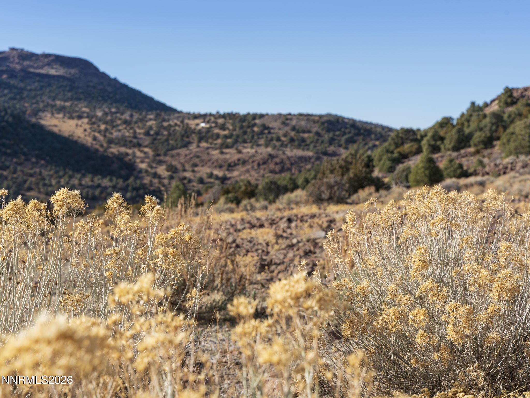 2690 Goldfield Road, Unit PARCEL IS BORDERED BY GOLDFIELD ON SOUTH AND EAST Reno, NV 89521 - Photo 7 of 30 a view of a large tree with mountains in the background