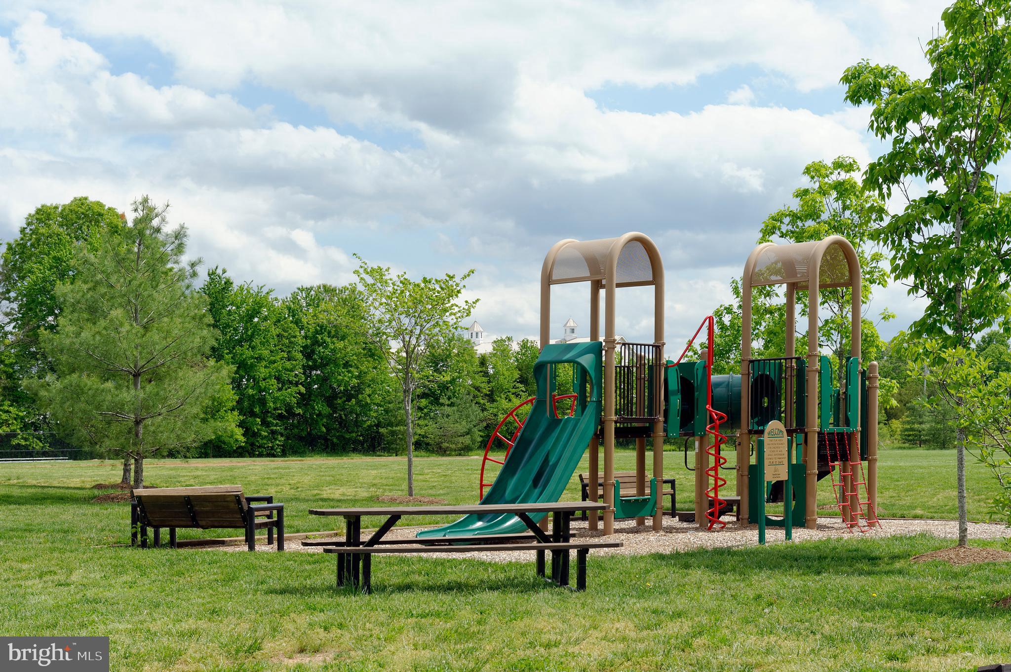 4048 Rectortown Road Marshall, VA 20115 - Photo 48 of 52 a view of a park with slide