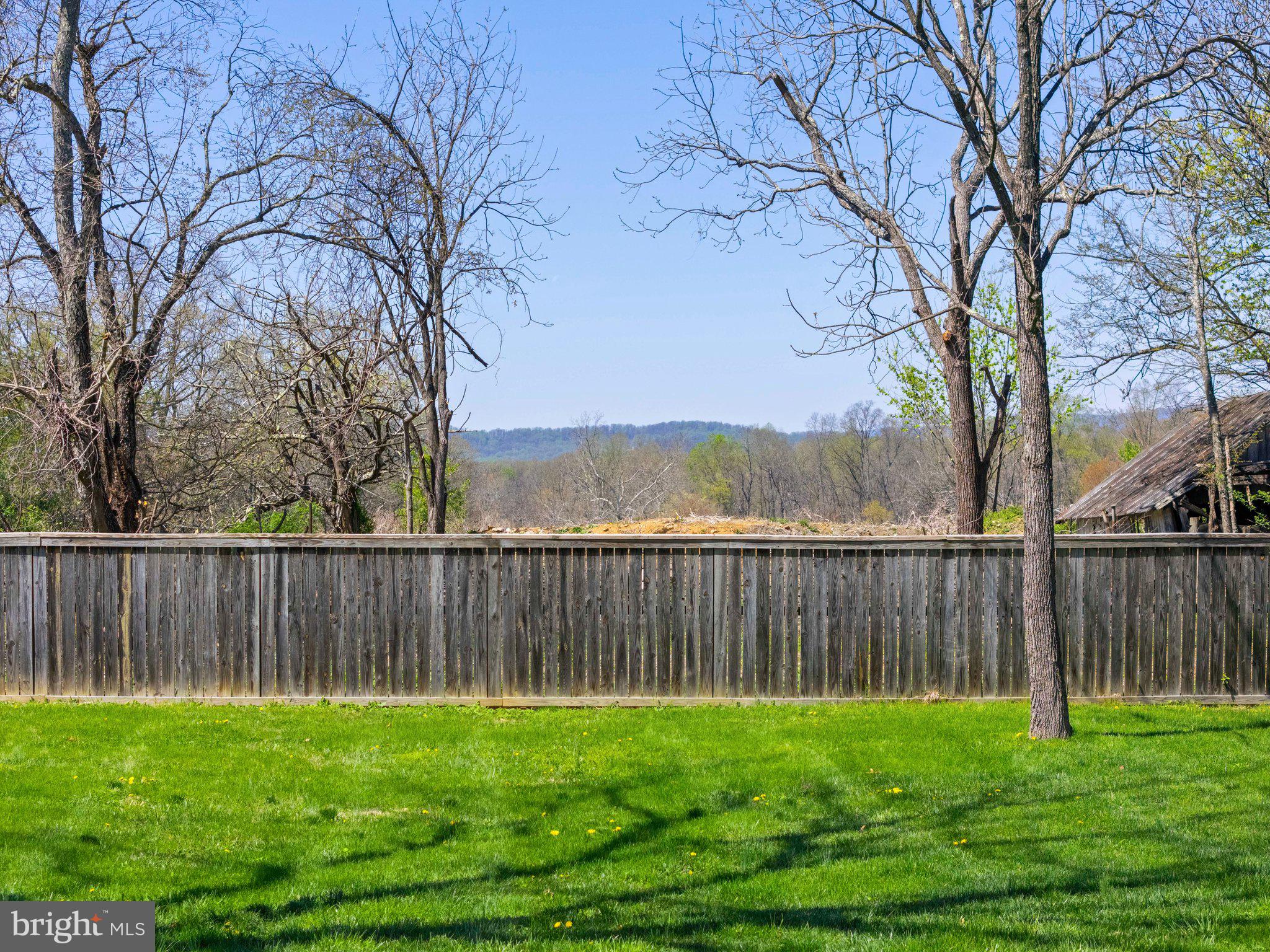 4048 Rectortown Road Marshall, VA 20115 - Photo 5 of 52 a view of a backyard with a large trees
