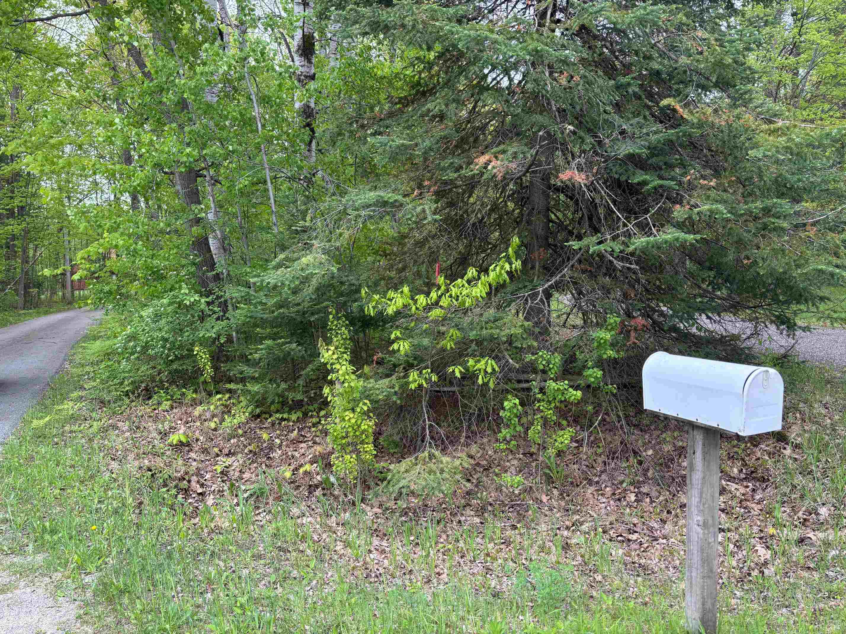 2913 West Howard Road Beaverton, MI 48612 - Photo 84 of 84