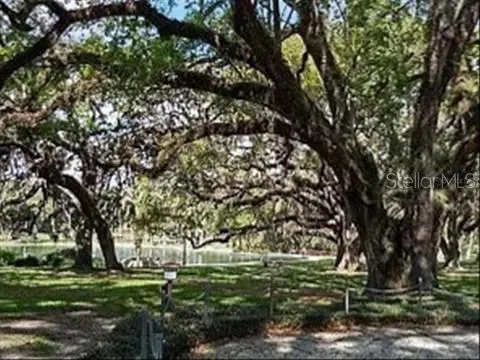 a big yard with lots of green space and plants