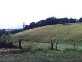 0 Walkersford Road Greeneville, TN 37743 - Photo 1 of 5 Photo 1
