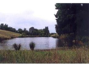 0 Walkersford Road Greeneville, TN 37743 - Photo 3 of 5 Photo 3