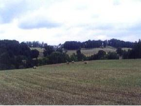 0 Walkersford Road Greeneville, TN 37743 - Photo 4 of 5 Photo 4