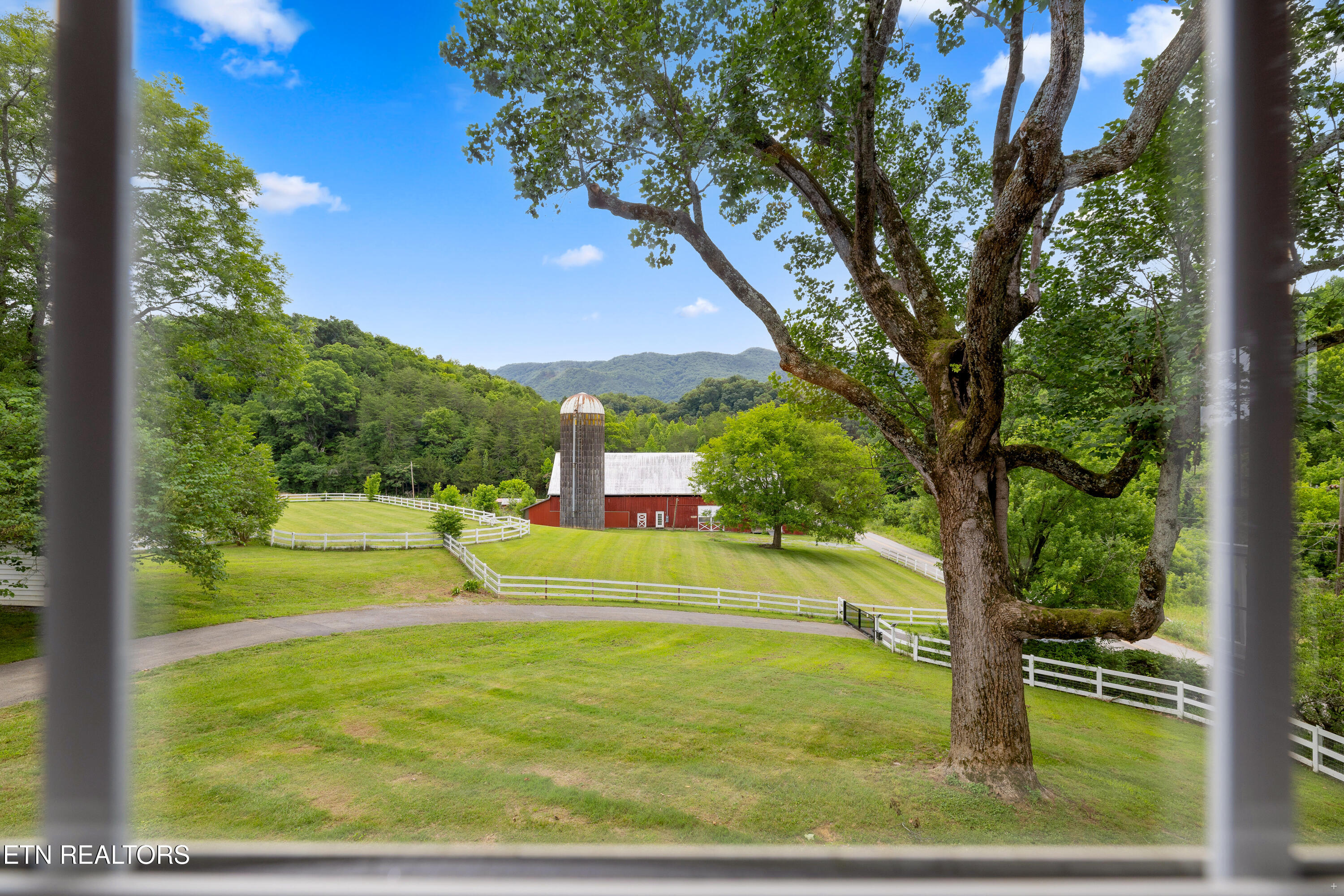 1640 Munsey Hatcher Road Seymour, TN 37865 - Photo 34 of 60 View from window