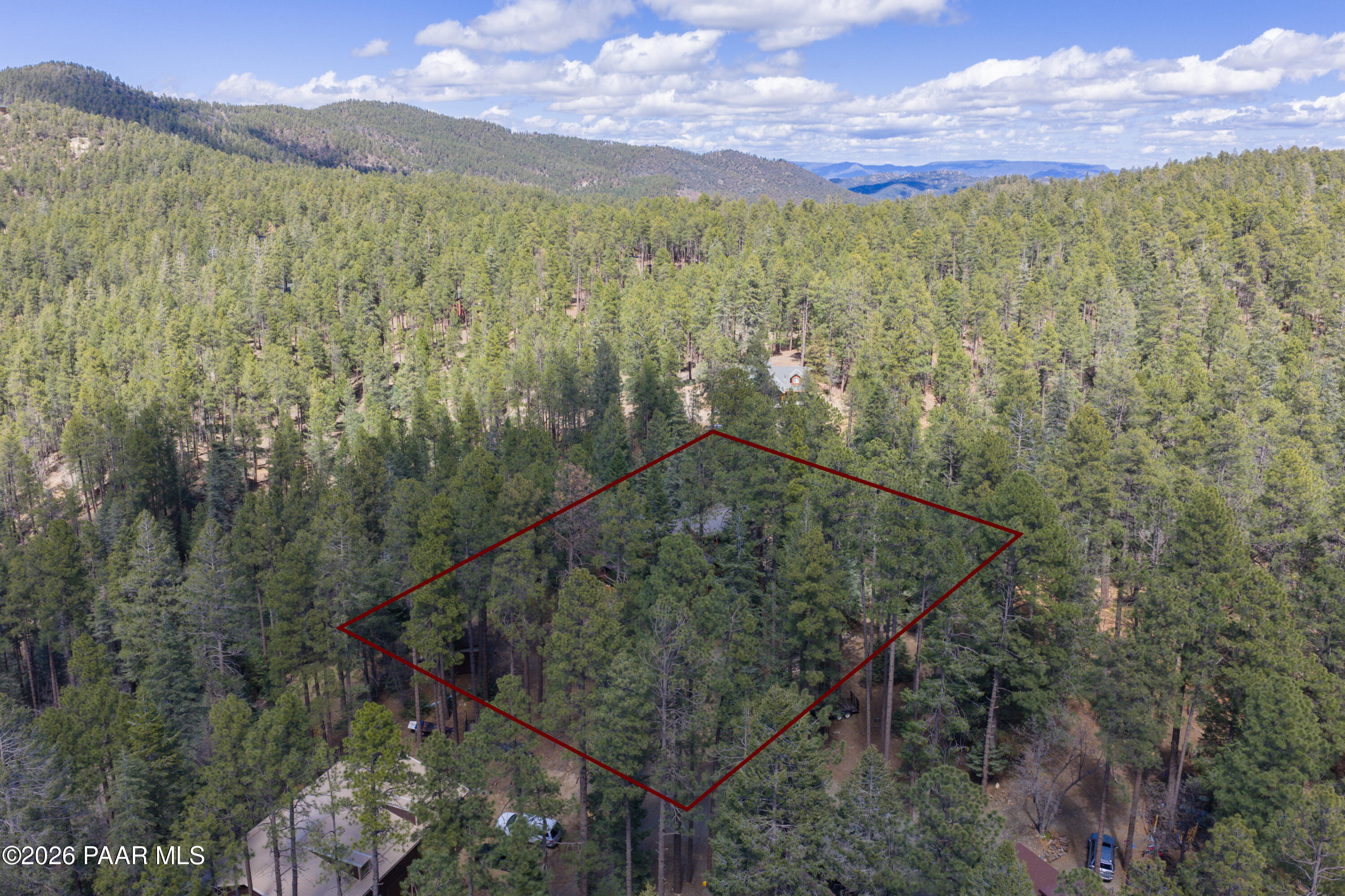 8105 South Comstock Mine Road Prescott, AZ 86303 - Photo 57 of 61 a view of a forest with a yard