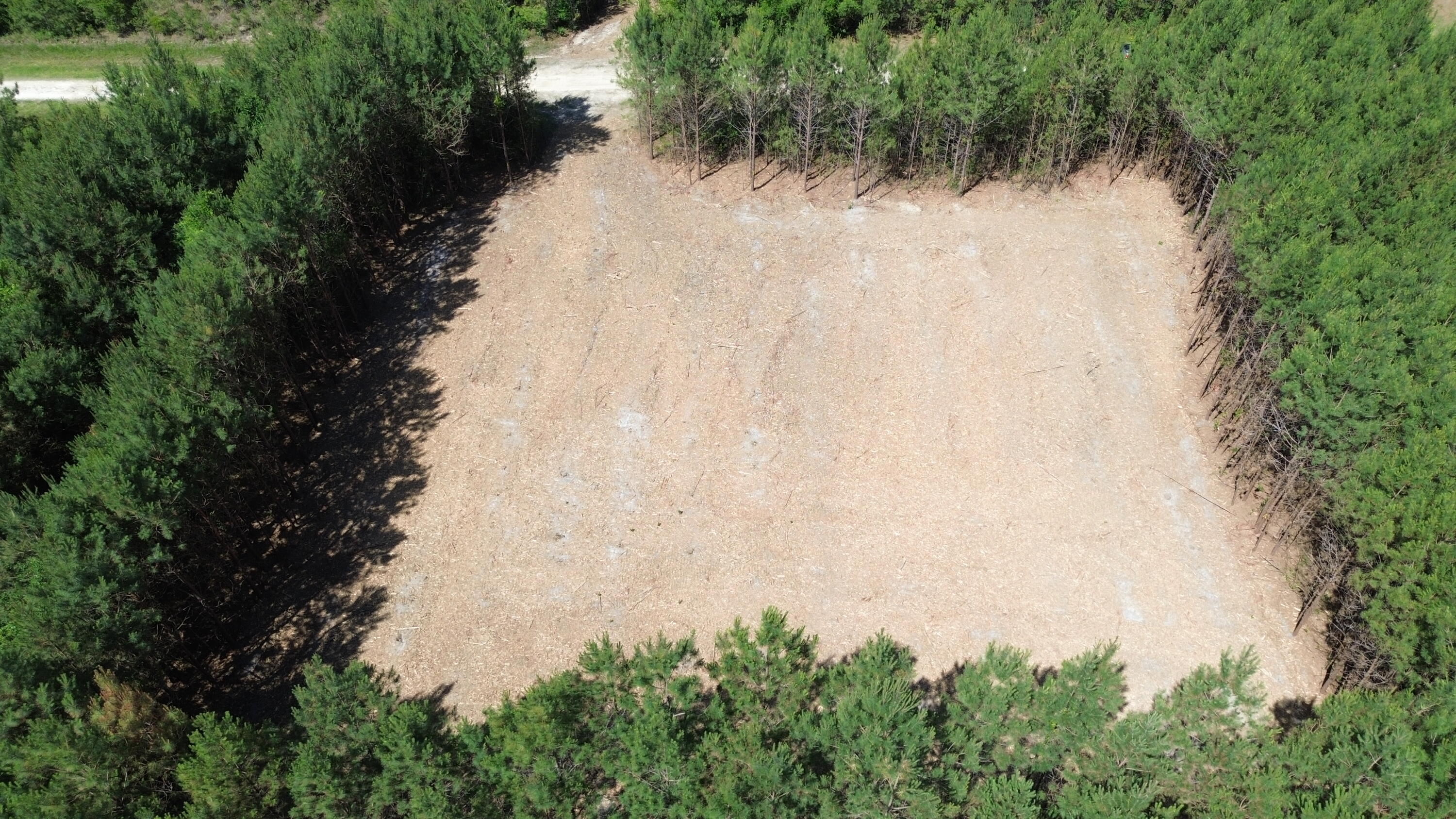 5 Highway 311 Cross, SC 29436 - Photo 7 of 11 DJI_0427