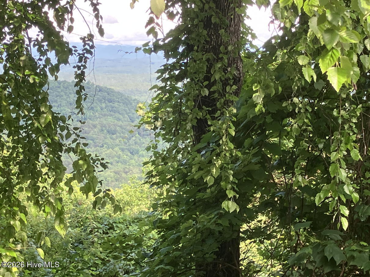 Lot 51 Buck Ridge Drive Murphy, NC 28906 - Photo 2 of 10