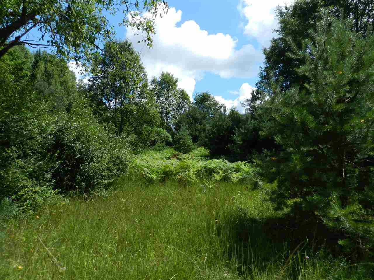 7529 Blue Road Southwest Fife Lake, MI 49633 - Photo 12 of 62 1865960-11.JPG