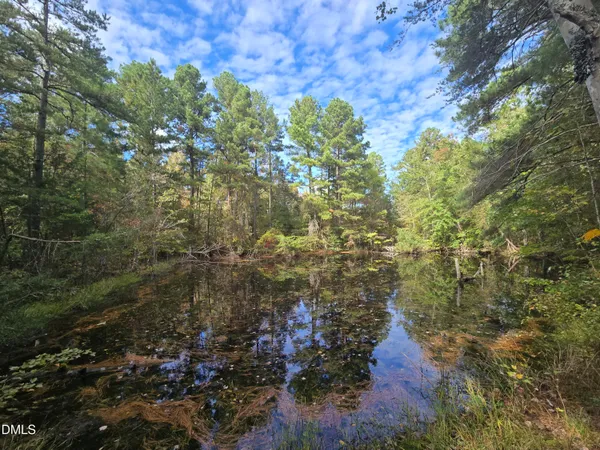 a view of a plants with large trees