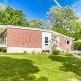 a view of a backyard with plants and large tree