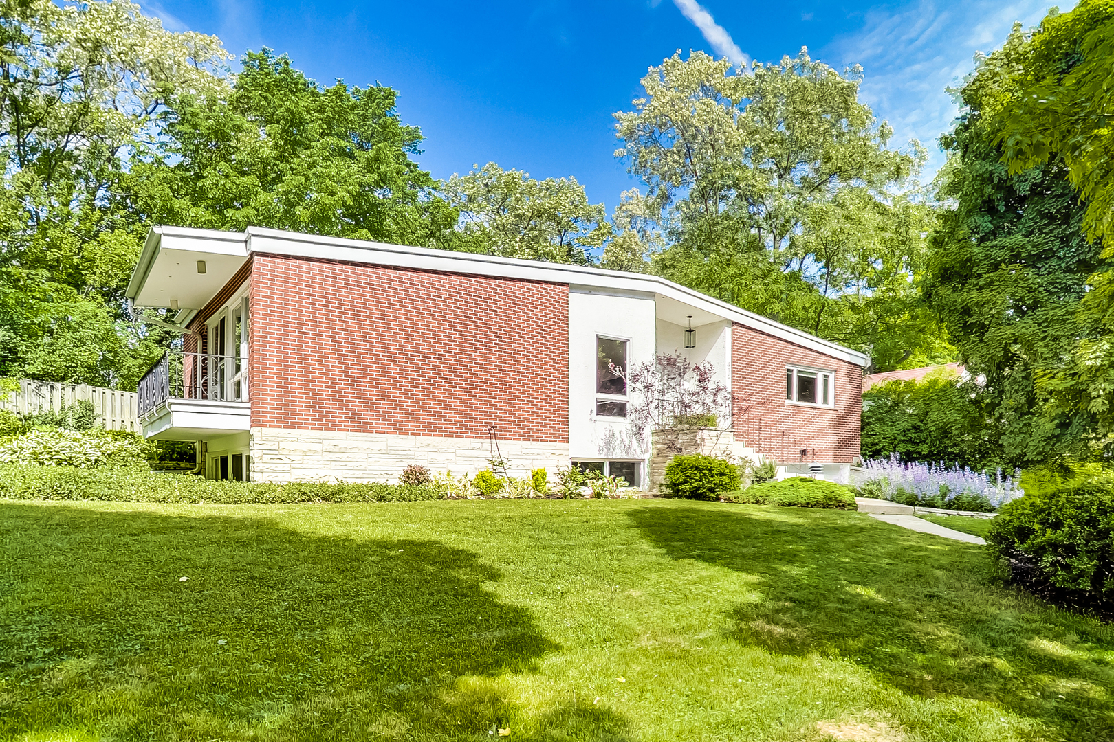 a view of a backyard with plants and large tree