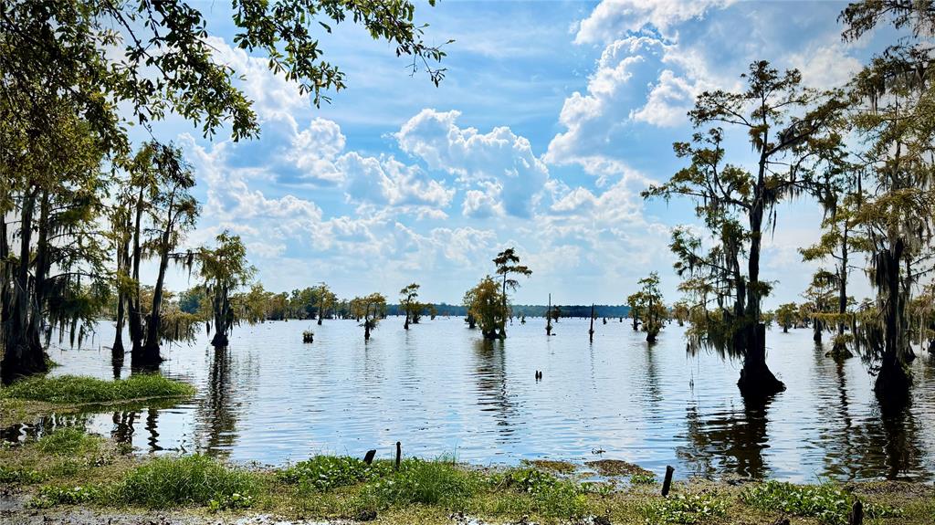 15585 Rudd Road Ida, LA 71044 - Photo 20 of 27 Expansive waterfront with mature trees and visible sky