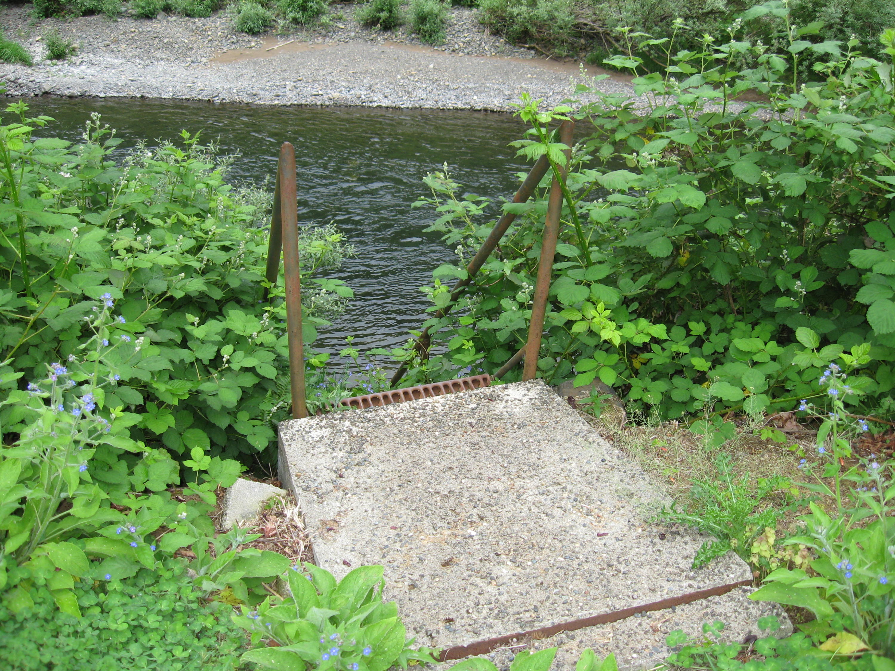 13435 Trask River Road Tillamook, OR 97141 - Photo 21 of 49 Stairs to the river