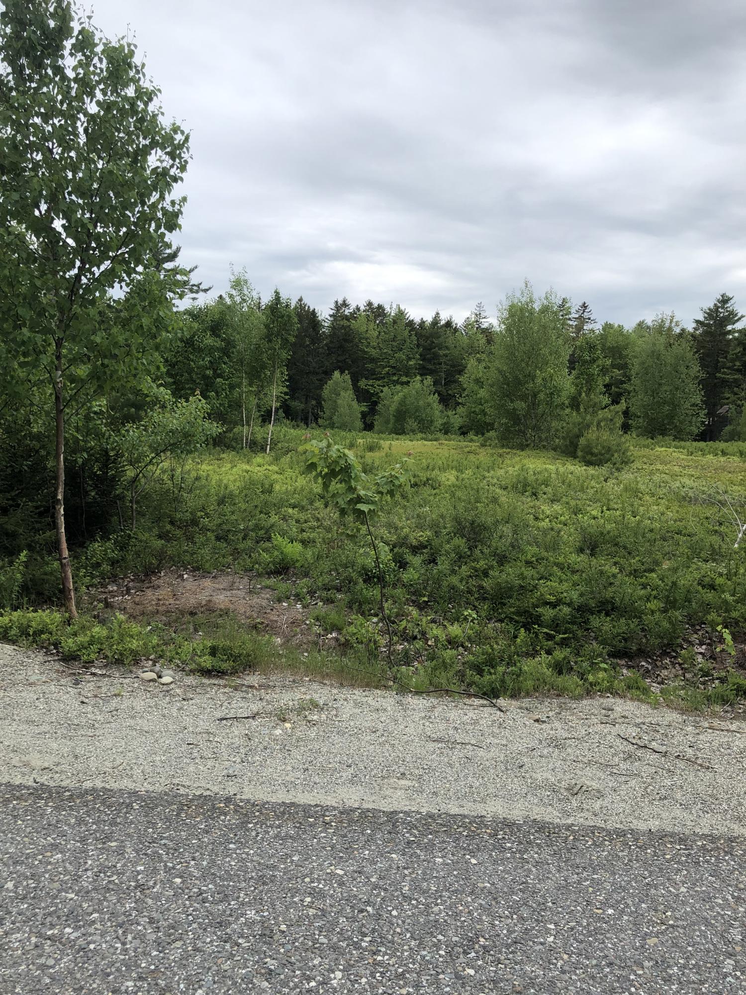 0 Walker Road Lamoine, ME 04605 - Photo 4 of 10 Walker Road 3+- ac lot