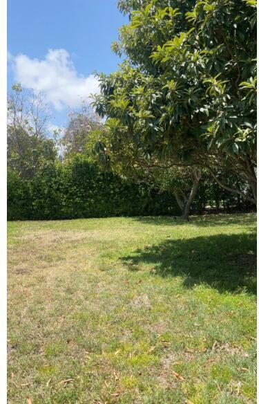477 Northeast 35th Street Boca Raton, FL 33431 - Photo 31 of 35 Large yard
