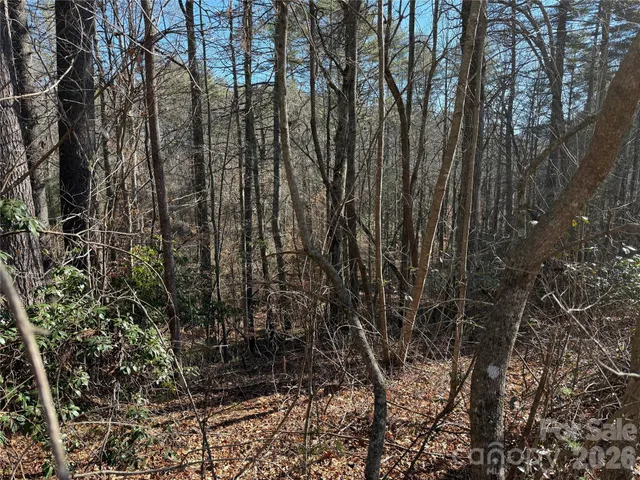 $105,000 | Lot 59 High Hemlock Trail, Brevard, NC 28712